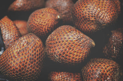 Snake fruit - close up detail of snake fruit ready to eat