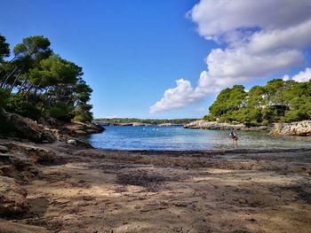 Scenic view of beach against blue sky