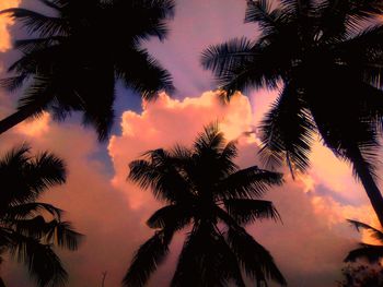 Low angle view of silhouette palm trees against romantic sky