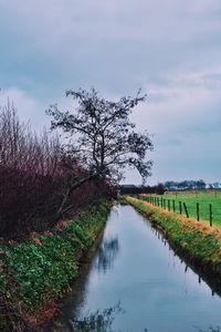 Scenic view of river against sky