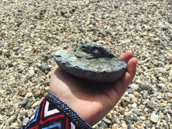 Cropped hand holding rock over field during sunny day