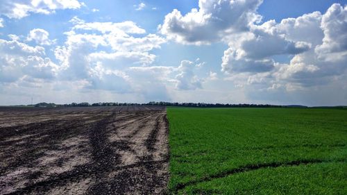 Scenic view of agricultural field against sky