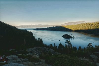 Scenic view of lake in forest against sky