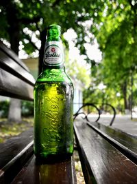 Close-up of beer bottle on railing