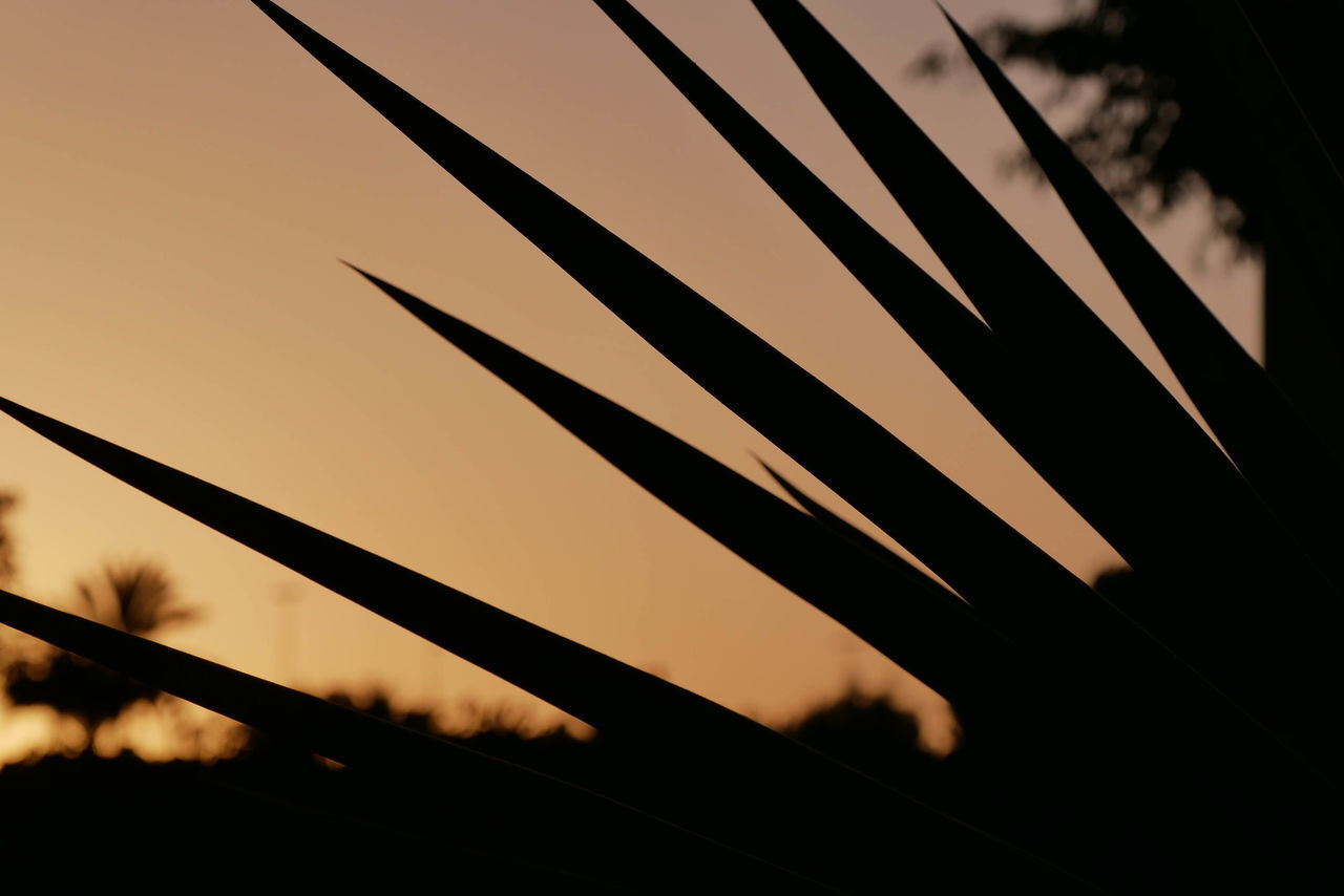 LOW ANGLE VIEW OF SILHOUETTE RAILING AT SUNSET