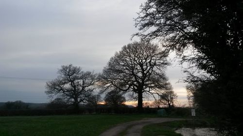 Bare trees on field against cloudy sky