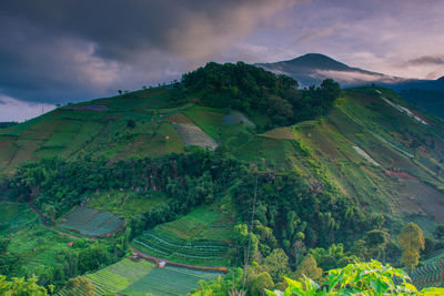 The beauty of the morning at the foot of mount ciremai majalengka, west java, indonesia