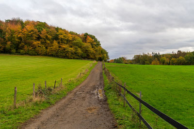 Dirt road amidst field against sky