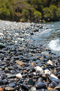 Close-up of stones on wet shore