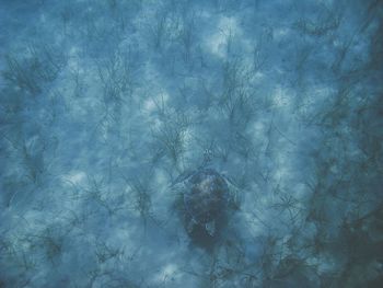 Full frame shot of sea