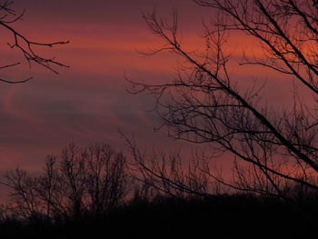 Silhouette bare trees against sky during sunset