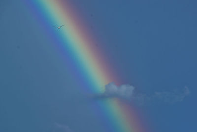 Low angle view of rainbow against blue sky