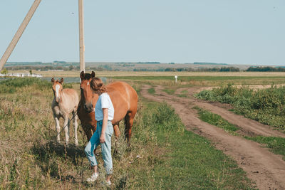 Girl petting a horse in the meadow. trust and tenderness of the girl to the horse