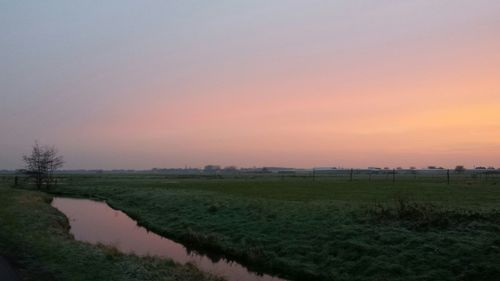 Scenic view of grassy field against sky at sunset