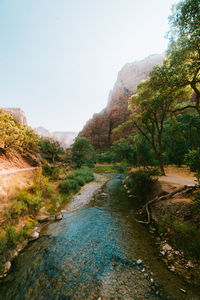 Scenic view of stream amidst trees against clear sky