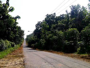 Road amidst trees against clear sky