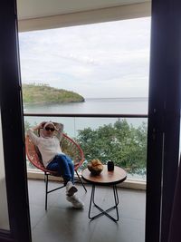 Dog sitting on window