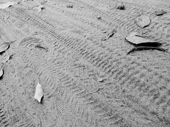 High angle view of footprints on sand at beach