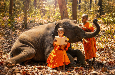 Monks by elephant in forest