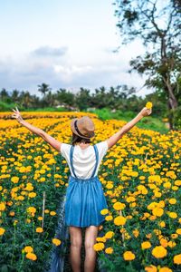 Rear view of woman with arms outstretched standing amidst flowering plants on field