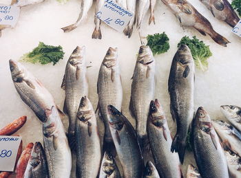 Fish for sale at market stall