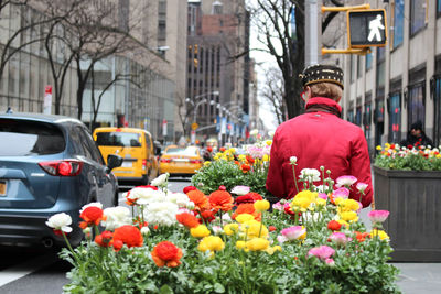 Person standing by flowering plants against buildings in city