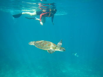 People swimming in sea