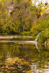 Scenic view of river with trees in background