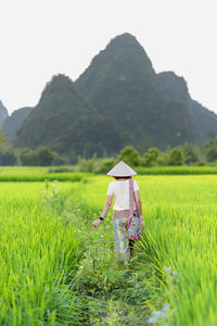 Rear view of woman with arms raised on land