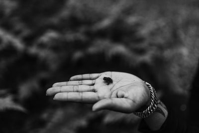 Close-up of hand holding small frog outdoors