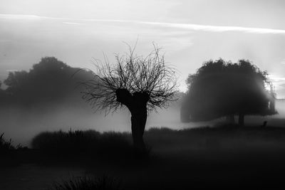 Lone bare tree on landscape against the sky