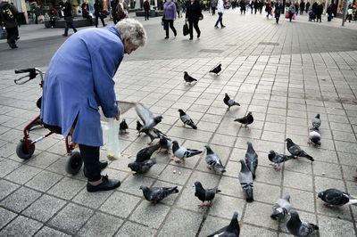 People looking at city