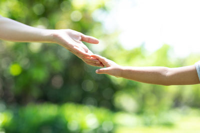 Close-up of woman hand holding leaf outdoors