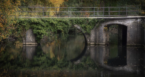 Arch bridge over lake against trees