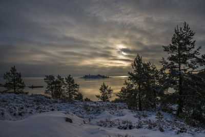 Lakeside in winter