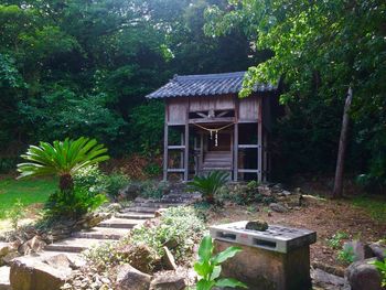 Plants and house in yard against trees in forest