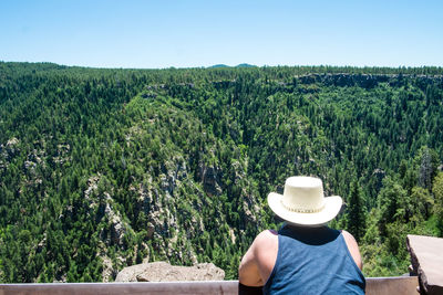 Rear view of person sitting on plants against landscape