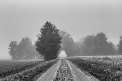 Rear view of man walking on road against sky