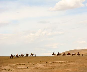 Camels on sand dune against sky