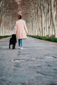 Rear view of woman with dog walking on street