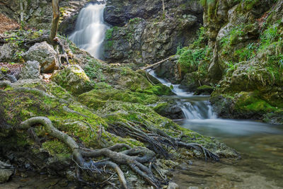 Stream flowing through rocks in forest