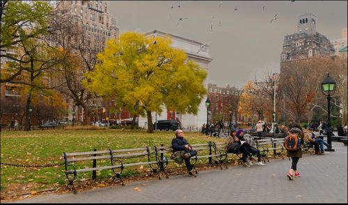 People walking in park