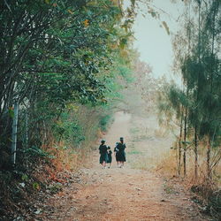 Rear view of men walking in forest