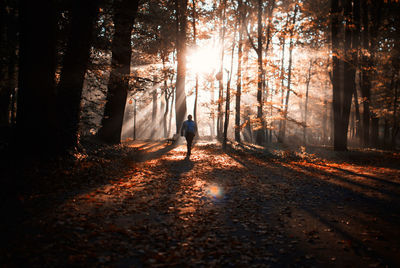 Man walking at forest during autumn