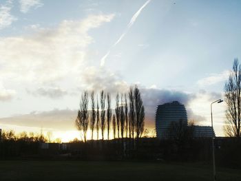 Low angle view of silhouette trees at sunset