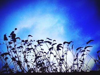 Low angle view of trees against blue sky