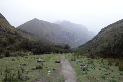 Scenic view of landscape against clear sky