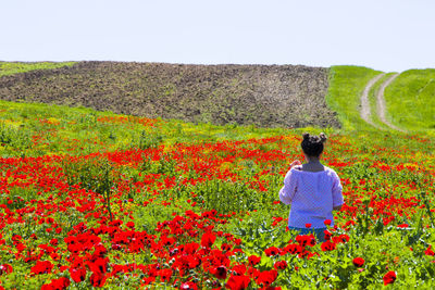 Beautiful women in field of poppy and yellow flowers, daylight and outdoor, georgian nature