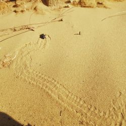 High angle view of footprints on sand at beach