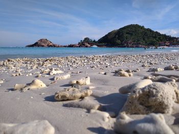 Rocks on beach against blue sky during sunny day